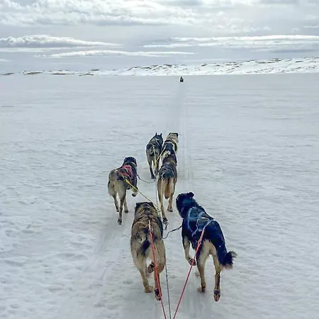 Gorgeous In Voringsfoss With Sauna